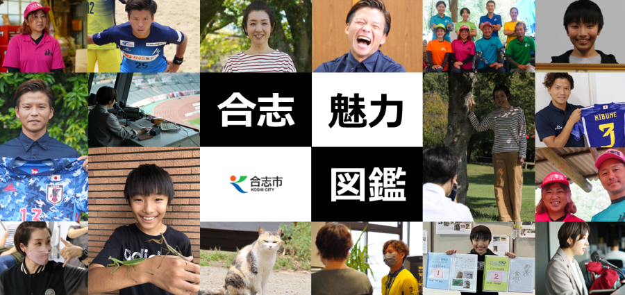 合志『魅力』図鑑