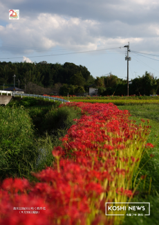 KOSHI NEWS 令和7年秋号230