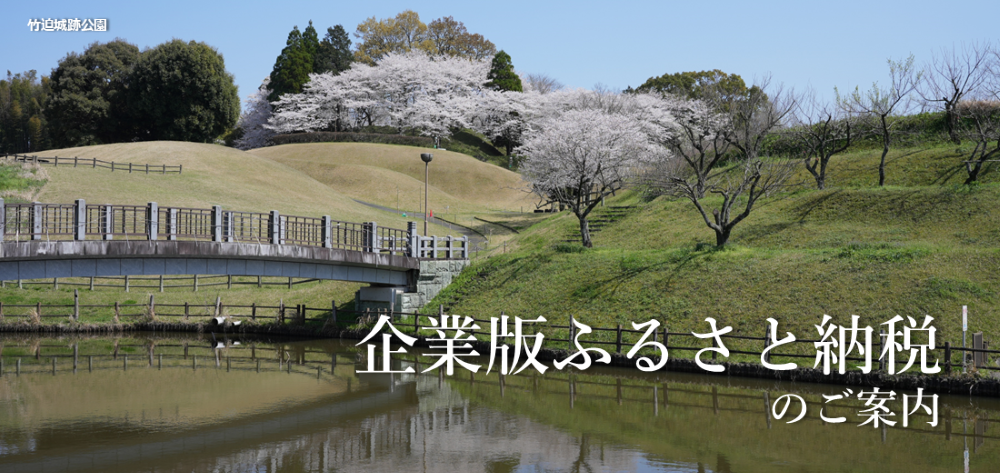 企業版ふるさと納税のご案内