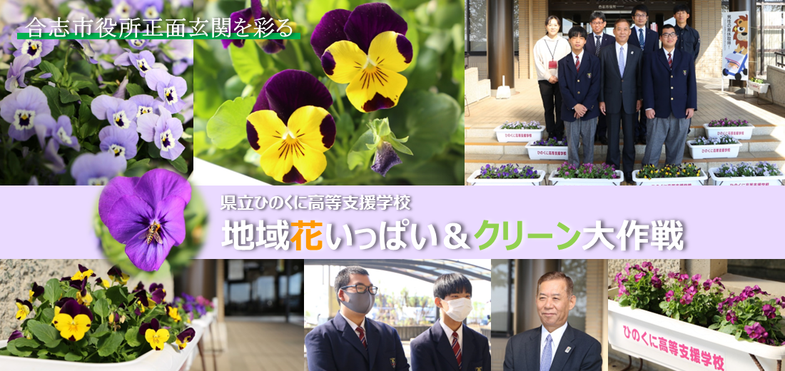 合志市役所正面玄関に花のプランターがあります