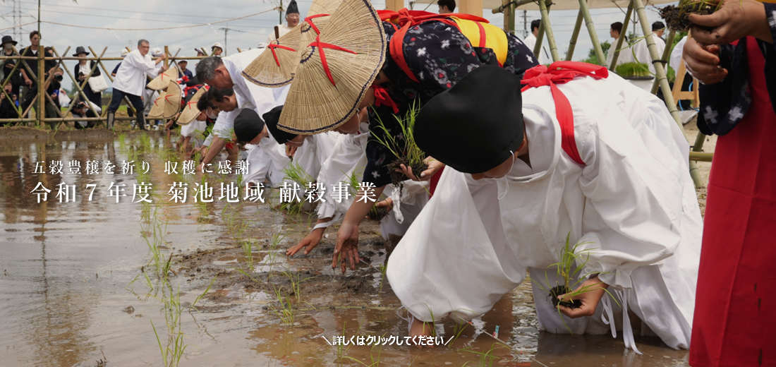 五穀豊穣を祈り、収穫に感謝する献穀事業。6月21日、御田植祭が行なわれました。