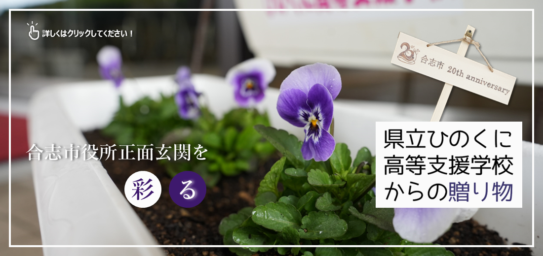令和7年11月26日、合志市合生にある、県立ひのくに高等支援学校の皆さんからビオラのプランターをいただきました。