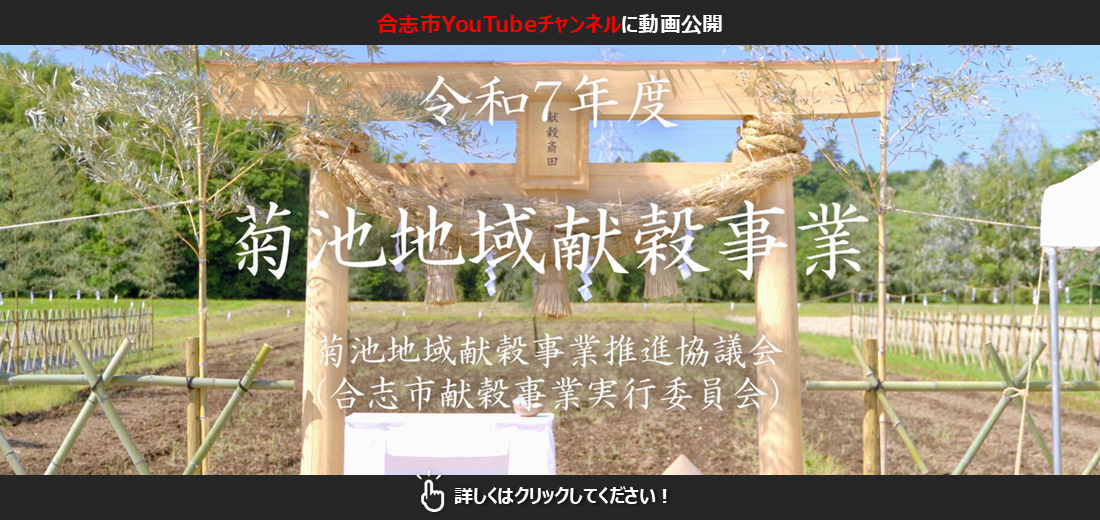 毎年11月23日に天皇陛下が新穀を神々に供え、ご自身も食される、収穫と感謝の御祭り『新嘗祭』。この御祭りに供する米と粟を全国の都道府県の農家が奉献する事業が献穀事業です。熊本県では、各地域振興局管内を持ち回りで実施しています。133回目を迎える令和7年度、菊池地域2市2町（菊池市、合志市、大津町、菊陽町）とJA菊池が協議会を作り、合志市の農家が栽培者となって献穀を実施しました。献穀事業をまとめた動画を合志市YouTubeチャンネルに公開しました。ぜひご覧ください。