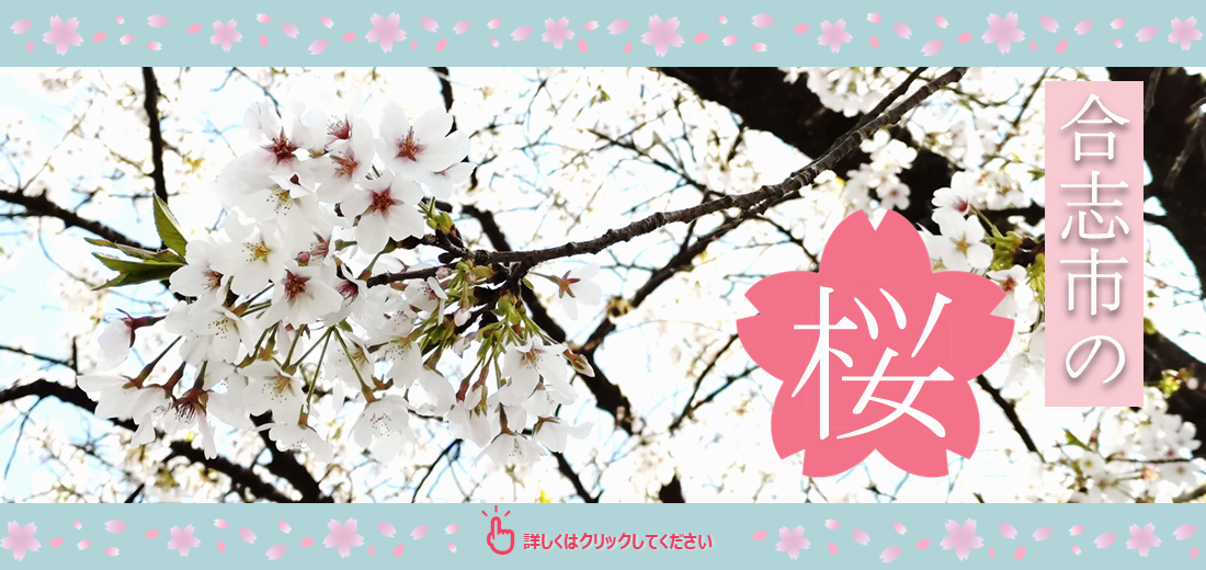 合志市で花が楽しめる情報をお伝えします。