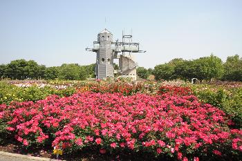 熊本県農業公園カントリーパーク