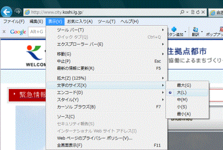 InternetExplorerの場合