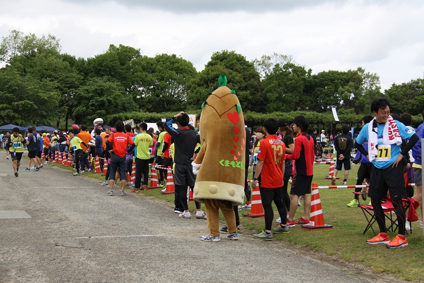 26枚目 そろそろ出番のヴィーブルくん