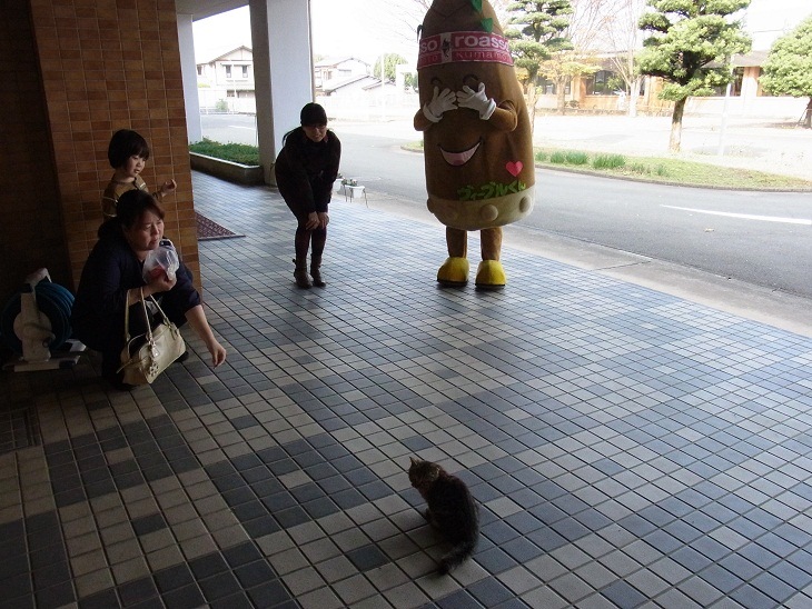 19枚目、ねこは遊んでくれませんでした