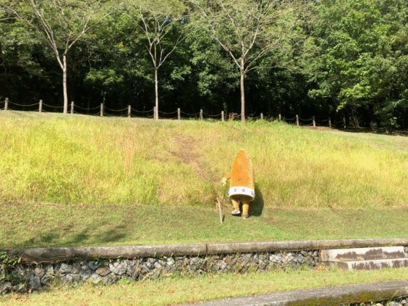 02-07飯高山公園にて(gifアニメ)