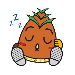 ヴィーブルくん「ZZZ」