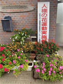 花 正面