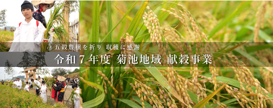 令和7年度菊池地域献穀事業のご紹介です。