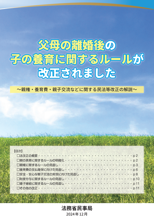 ルール改正パンフレット