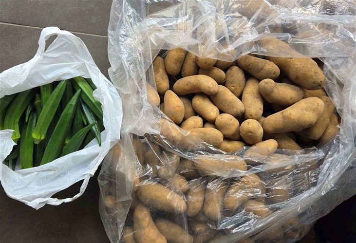 じゃがいも・オクラ