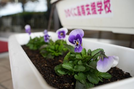 県立ひのくに高等支援学校から届いたプランターです。