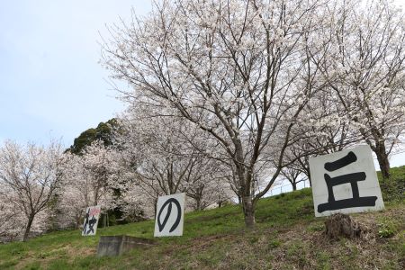 桜の丘（西合志第一小学校横）
