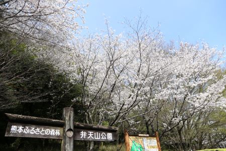 弁天山公園
