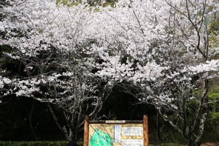 弁天山公園
