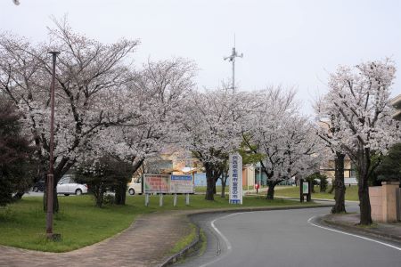 泉ヶ丘市民センター