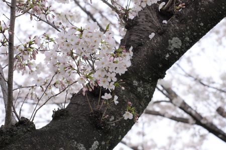 泉ヶ丘市民センター