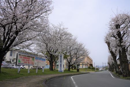 泉ヶ丘市民センター