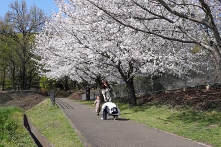 飯高山公園