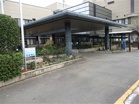 合志市雨庭写真