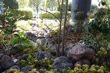 植栽の様子です