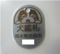 犬鑑札写真
