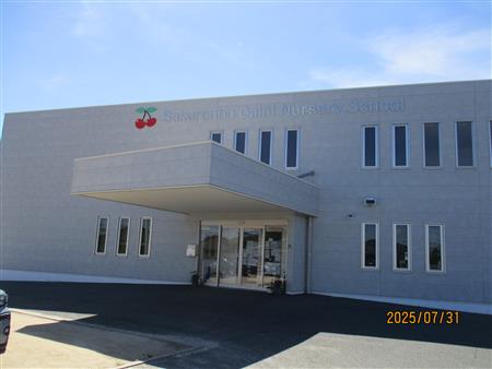 さくらんぼ第2保育園