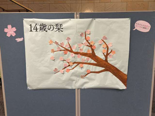 写真(3)