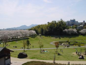 妙泉寺公園