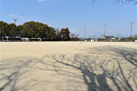 中央運動公園グラウンド