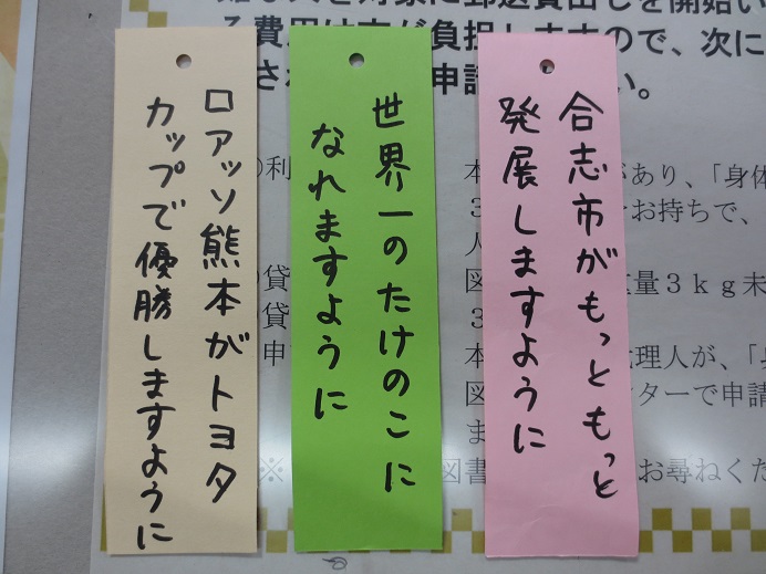 13枚目_ヴィーブルくん、短冊に願いごとを書く。