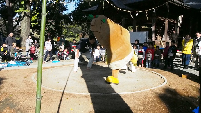 19枚目_ヴィーブルくん、土俵入りする