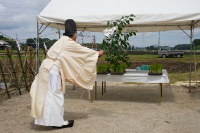 苗にお祓いをする神職。