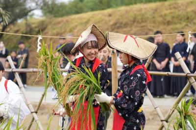 稲を刈り取り笑顔を見せる、早乙女姿のこどもたちです。