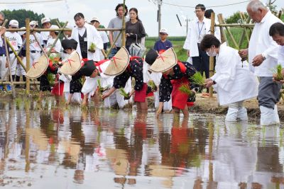 苗を手植えする関係者たち。