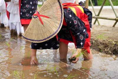 苗を植える早乙女に扮したこども